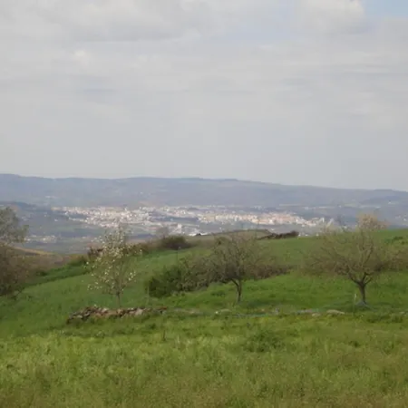 Affittacamere Casa Luis Gonzaga *