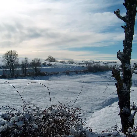 Pensionat Casa Luis Gonzaga