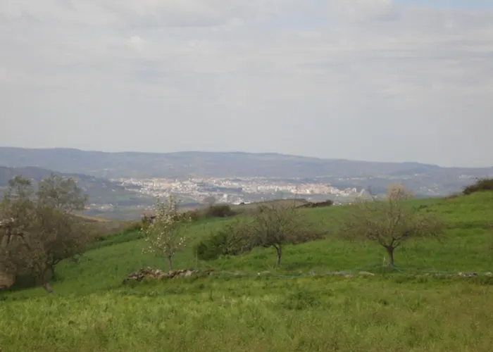 Konukevi Casa Luis Gonzaga *