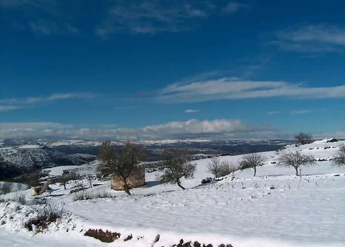 Konukevi Casa Luis Gonzaga Bragança