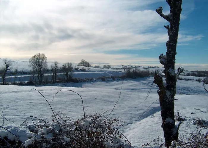 Konukevi Casa Luis Gonzaga